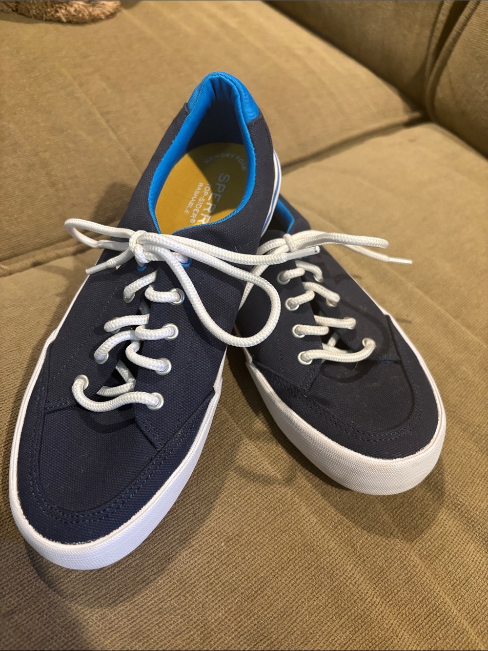 Sperry Navy Canvas Sneakers with White Laces